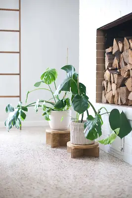 DIY Modern Wood Plant Stands