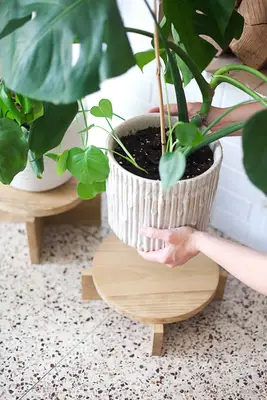 DIY Modern Wood Plant Stands