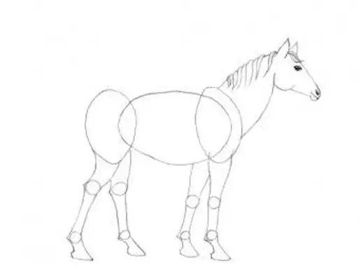 https://cf.ltkcdn.net/crafts/images/slide/195563-597x464-11-Horse-Two-more-legs.webp