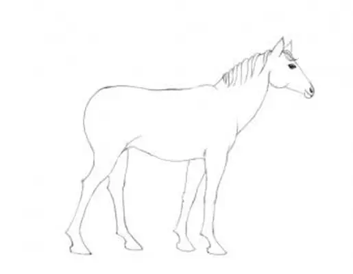 https://cf.ltkcdn.net/crafts/images/slide/195565-597x464-12-Horse-Connecting-the-body-new-v1.webp