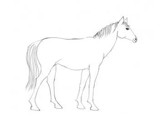 https://cf.ltkcdn.net/crafts/images/slide/195567-597x464-13-Horse-Tail-and-mane-detail-new-v1.webp