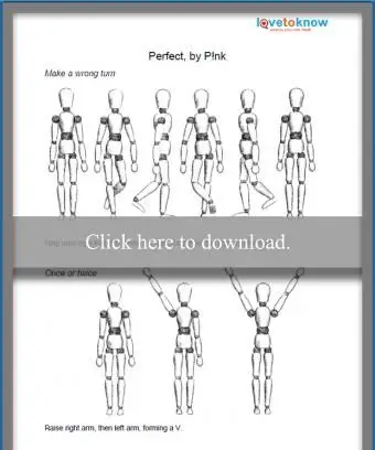 Perfect par P!nk routine de danse