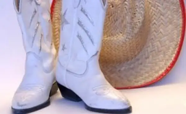 컨트리 라인 댄스 단계