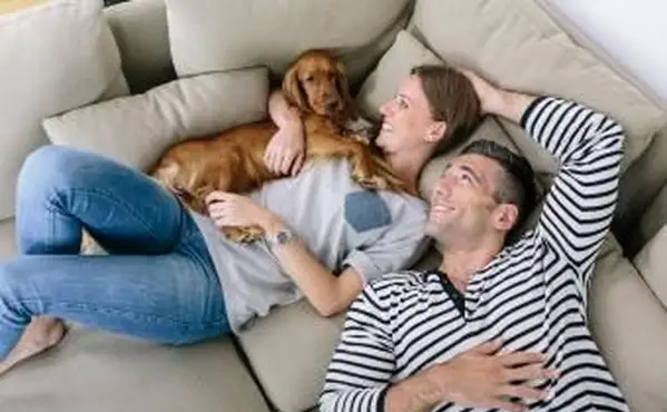 Šťastný pár na gauči so psom