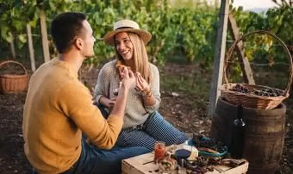 Romantischer Brunch im Weinberg