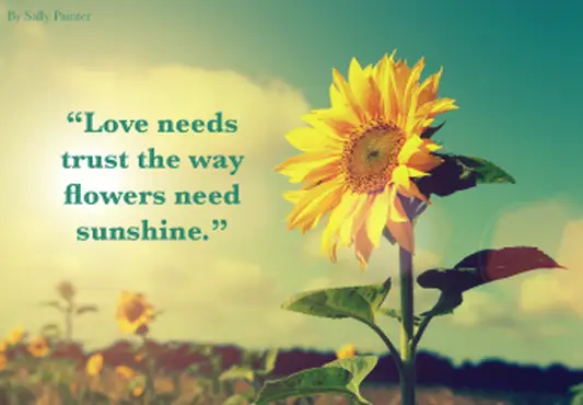 Vertrauensbeziehung Zitat der Ermutigung mit Sonnenblume in der Sonne