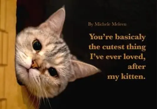 Słodkie i zabawne cytaty miłosne