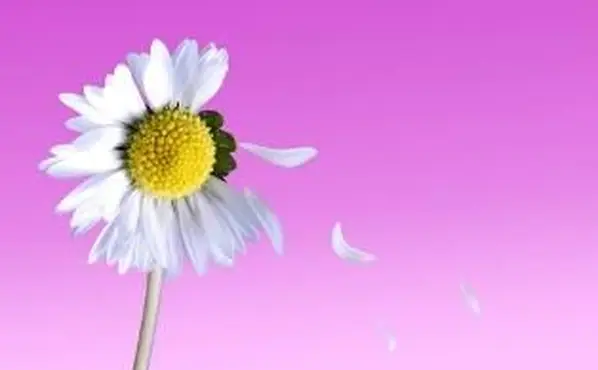 誰かがあなたに恋をしている5つの兆候