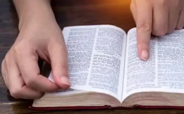 성경을 읽는 여성