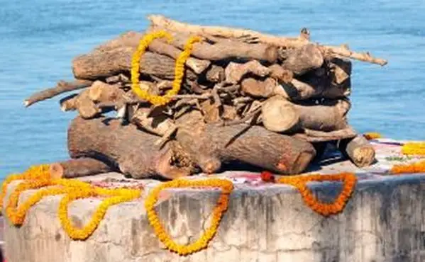 화 장식용 백단과 꽃