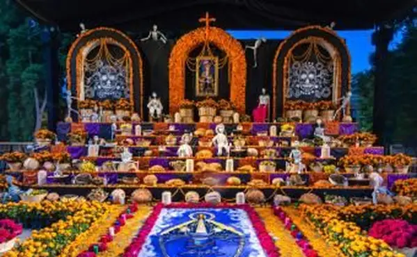 6 popolari fiori del giorno dei morti e il loro significato