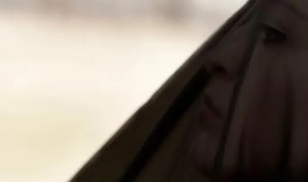 Retrato de mulher velada