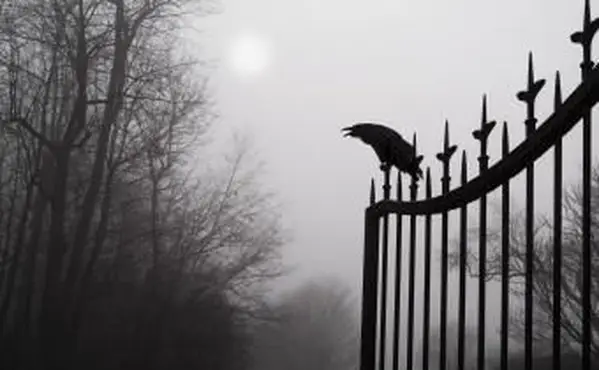 Todessymbole verstehen: Ursprünge und Bedeutungen