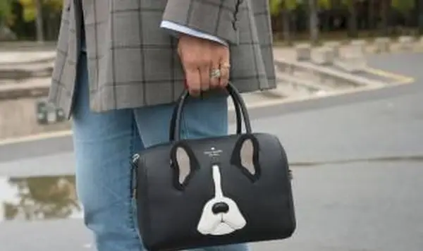 Kate Spade Handy-Ladetaschen