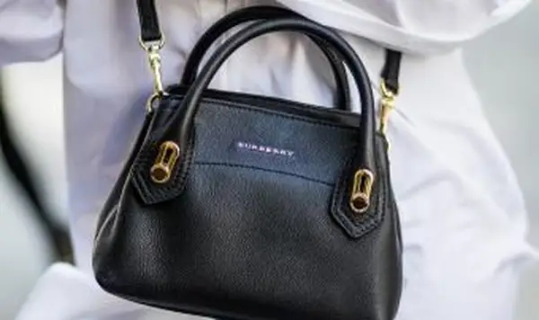 לוגו תיק ברברי