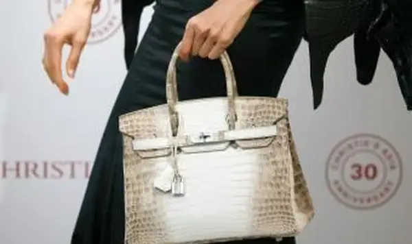 マットホワイトヒマラヤニロティカスクロコダイルダイヤモンドバーキン、18Kゴールド