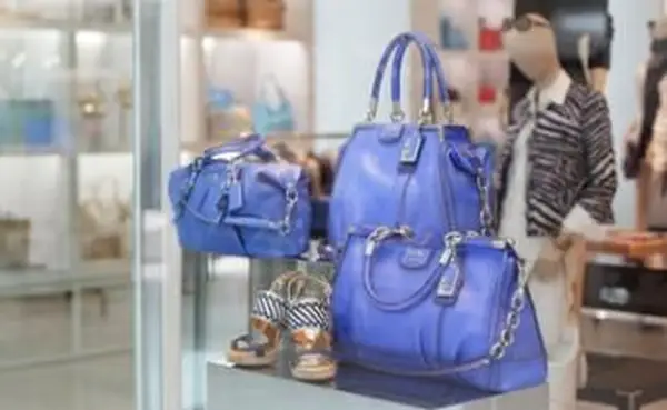 디스플레이에 코치 핸드백