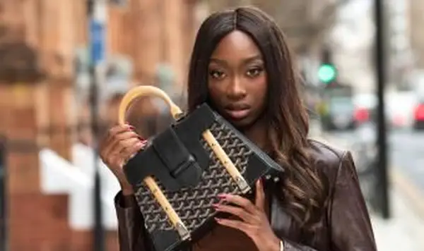 Guia de preços de bolsas Goyard: um resumo dos estilos populares