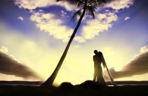 Forfaits d'évasion peu coûteux