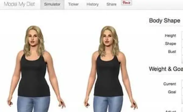 最高の仮想減量モデル