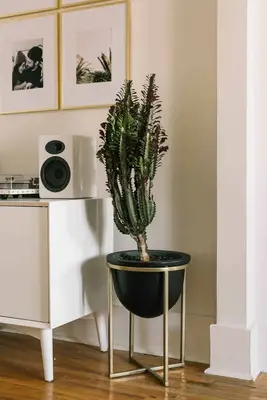 Kacey Musgraves' Dining Room Tour