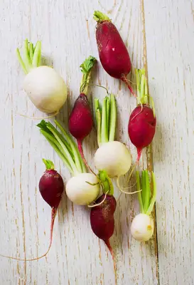 Radish Salad Sandwiches