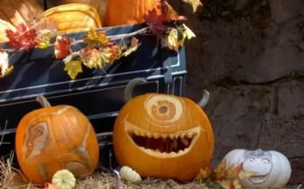 Beste Jahreszeit für Disneyland