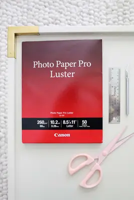 First Year Photo Display