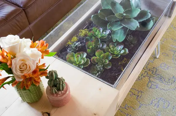 DIY Terrarium Coffee Table
