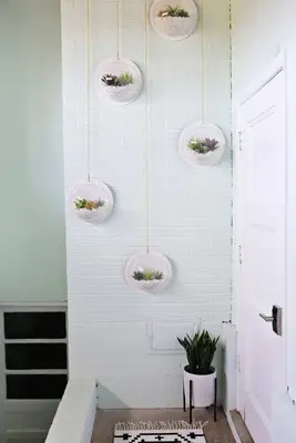 Hanging Terrarium Wall DIY