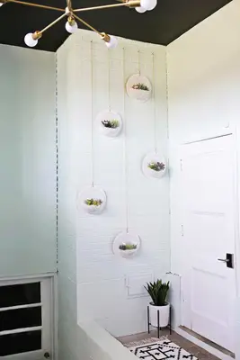 Hanging Terrarium Wall DIY