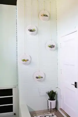 Hanging Terrarium Wall DIY