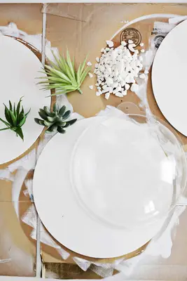 Hanging Terrarium Wall DIY