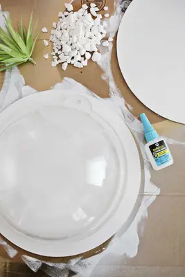 Hanging Terrarium Wall DIY