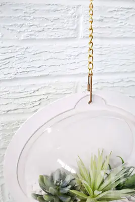 Hanging Terrarium Wall DIY