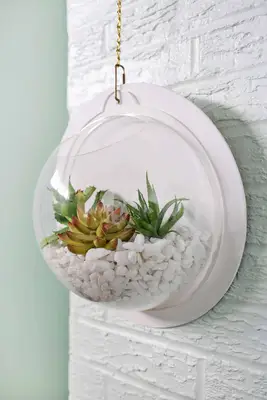 Hanging Terrarium Wall DIY