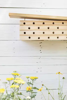 Modern Mason Bee House DIY