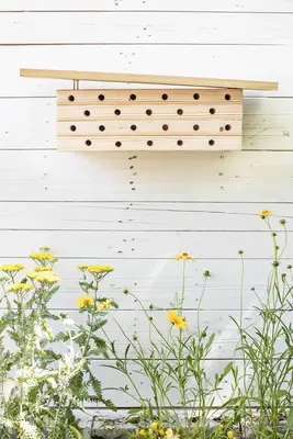 Modern Mason Bee House DIY