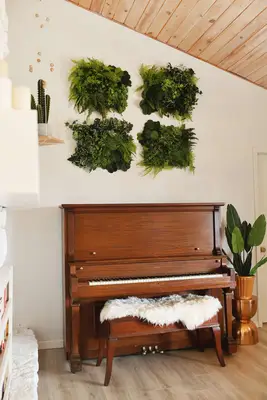 Easy DIY Living Wall Art