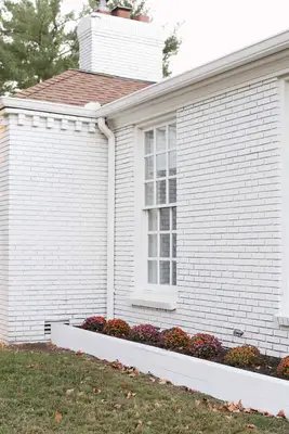 Woohoo! Paturi de flori de casă!