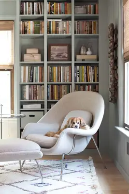 completed Billy bookcase with books and decor on, a white chair with a dog on it, and an ottoman