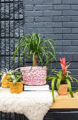 10 unikke DIY -plantemaskiner og gryder