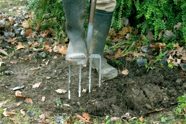 Make a beetle bump - removing top layer of earth