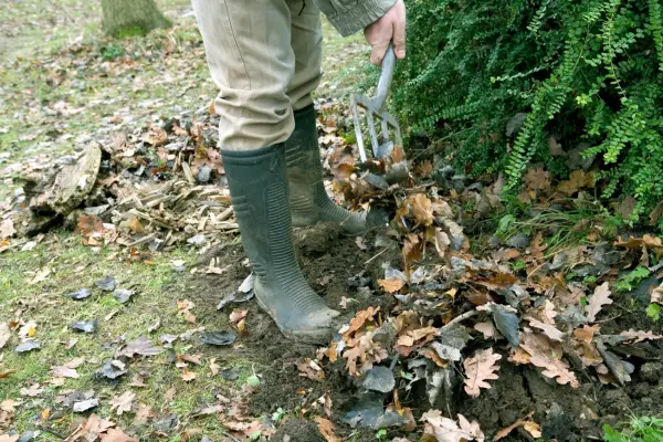 Make a beetle bump - adding fallen leaves