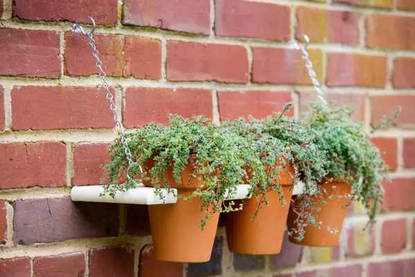 Byg en plantedisplayhylde