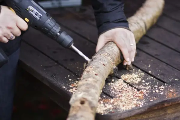 Drilling holes in the log