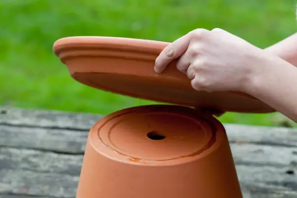 How to make a bird bath - placing the saucer on the pot base