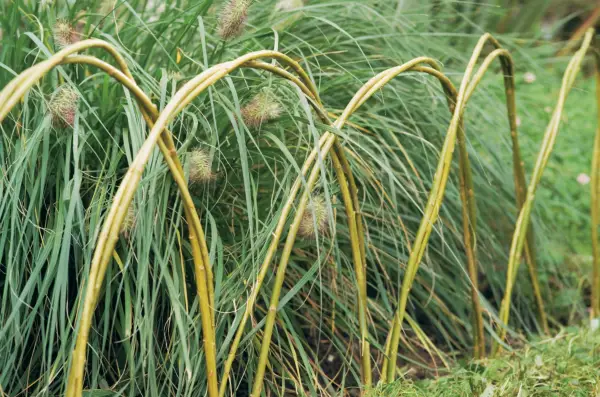 Comment faire une bordure de saule