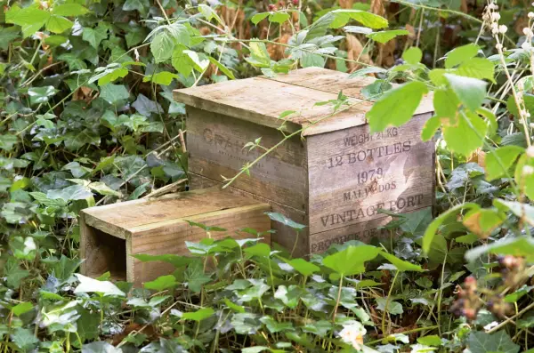 How to make a hedgehog house