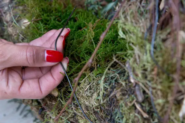 Securing the sheet moss to the wreath